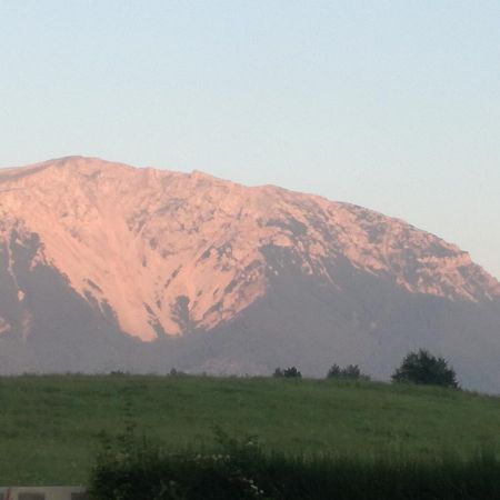 Landgasthof Hausmann Puchberg am Schneeberg Exteriér fotografie